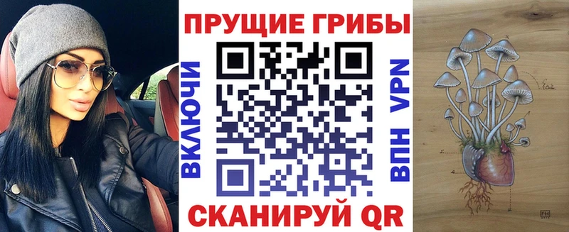 Псилоцибиновые грибы мухоморы  Купить закладки  Гаджиево 